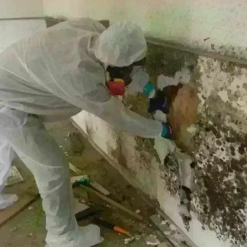 Best Mold Remediation and Removal Service in Tyngsboro, MA